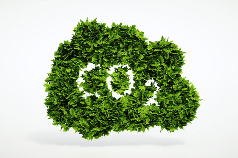 CO2 icon with green leaves