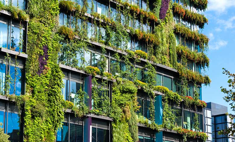 Green walls in sustainable construction